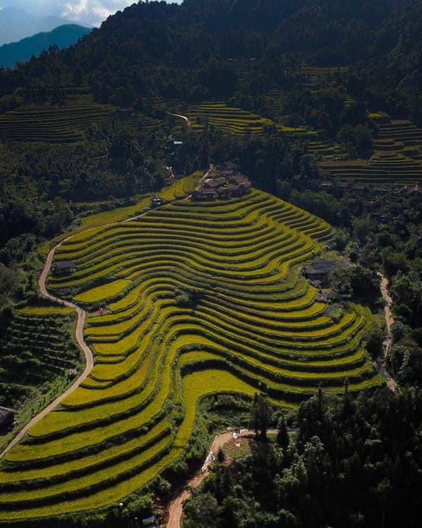 DJI_0044