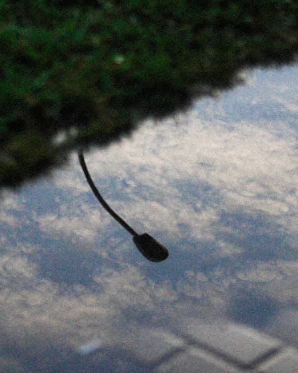 Lumières dans la flaque